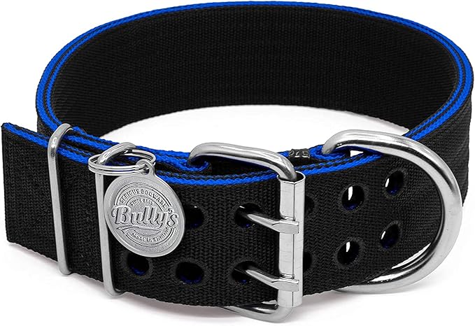 Pit Bull Collar, Dog Collar for Large Dogs, Heavy Duty Nylon, Stainless Steel Hardware (Medium, Black with Blue Trim)