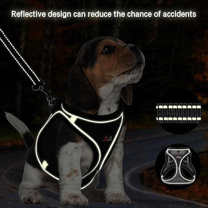 Step-in Air Dog Harness and Dog Leash- All Weather Mesh Step in Vest Harness for Small and Medium Dogs, Reflective Harness and 5FT Leash for Confident Walking at Night (Black,X-Large)