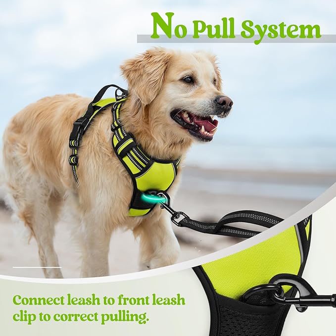 rabbitgoo Dog Harness, No-Pull Pet Harness with 2 Leash Clips, Adjustable Soft Padded Dog Vest, Reflective No-Choke Pet Oxford Vest with Easy Control Handle for Medium Dogs, Wild Lime, M