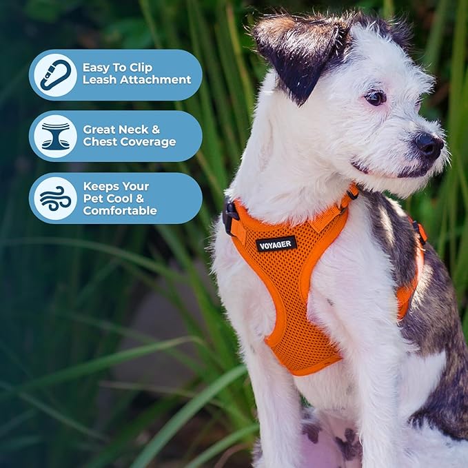 Voyager Step-in Lock Pet Harness - All Weather Mesh, Adjustable Step in Harness for Cats and Dogs by Best Pet Supplies - Orange, S