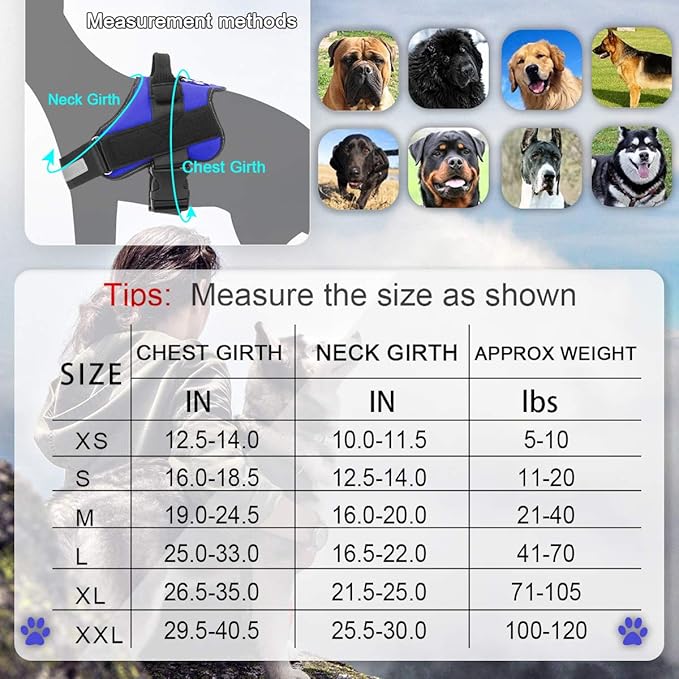 Bolux Dog Harness, No-Pull Reflective Dog Vest, Breathable Adjustable Pet Harness with Handle for Outdoor Walking - No More Pulling, Tugging or Choking (Blue, XXL)