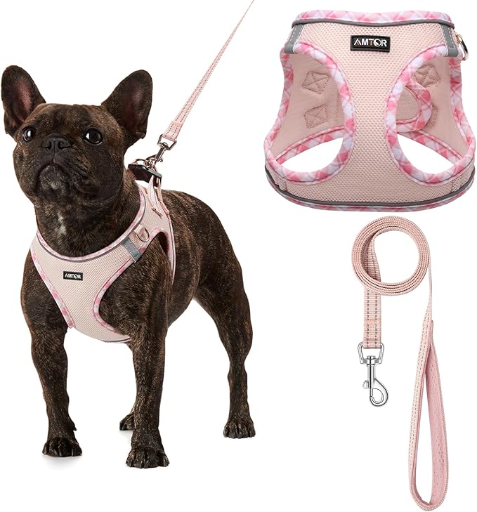 AMTOR Small Dog Harness with Leash Set, No Escape Easy Walk Puppy Harnesses for Training Walking, Step-in Reflective Soft Dogs Vest for XS S Medium Extra-Small Large Sized Dog(Pink,L)