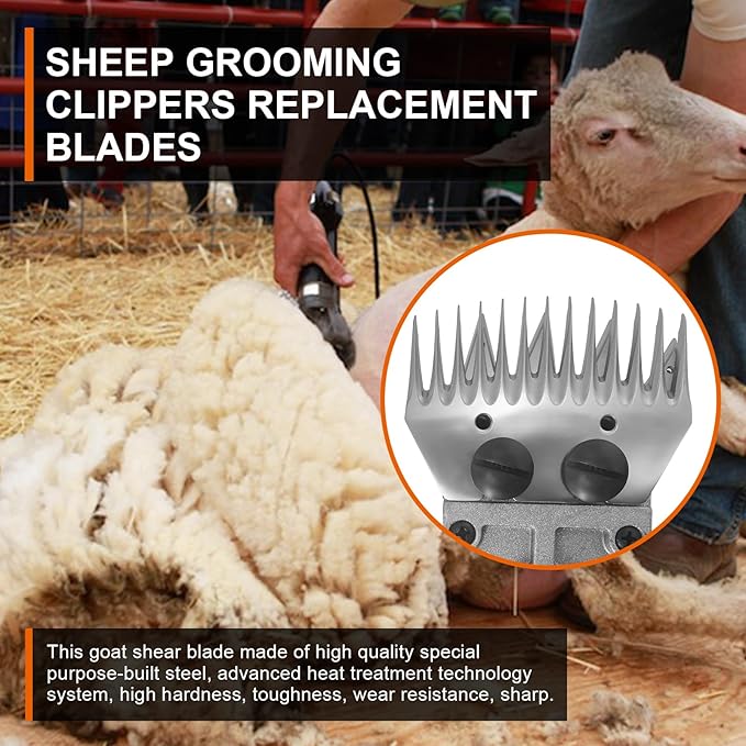 Sheep Grooming Clippers Replacement Blades Compatible with Oster/Lister/Heiniger/GDJOB/BEETRO/Dragro/TAKEKIT Sheep Clippers for Thick Coat Animals,Made of Stainless Steel (13 Tooth(3 PCS))