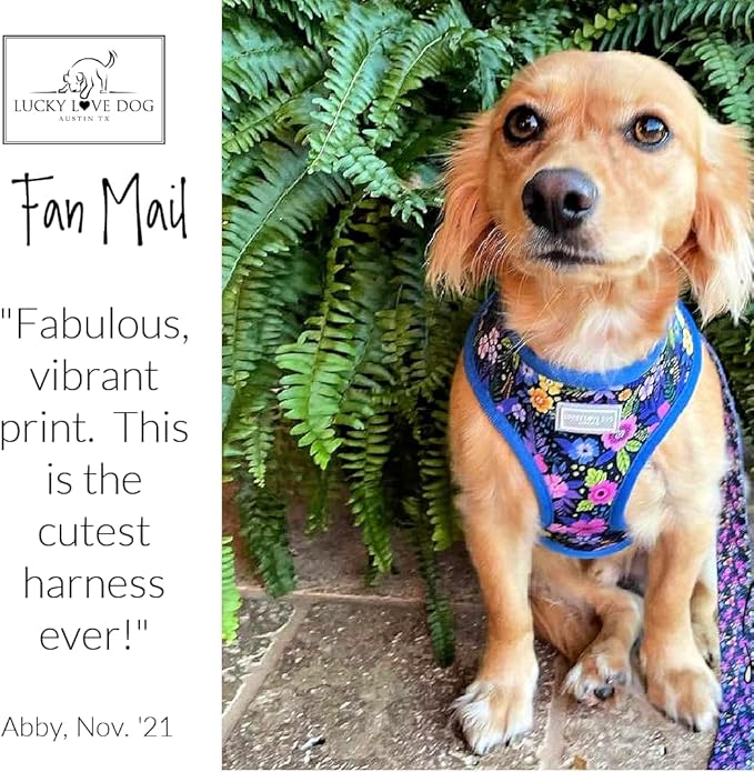 Lucky Love Dog, Girl Reversible Dog Vest, Purple Floral Pattern Medium Dog Vest, Primrose, Medium