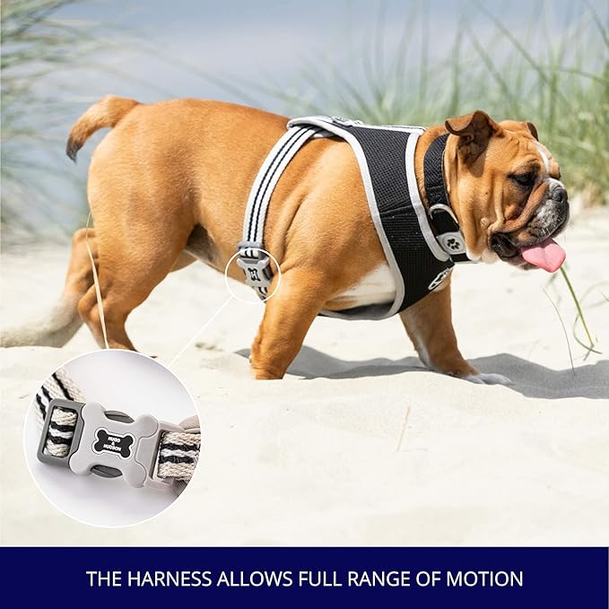 HUGO & HUDSON Dog Harness No-Pull Pet Harness Adjustable Quick Dry Mesh Padded Vest, Black, L