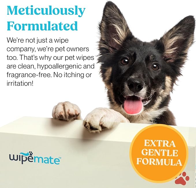 Bulk 4-Pack Travel Dog & Cat Pet Wipes for Small/Medium Pets Cleans Pet Paws Ears Fur Butt & Anal Gland No-Rinse Solution Gentle Deodorizing & Hypoallergenic - Unscented 120 ct