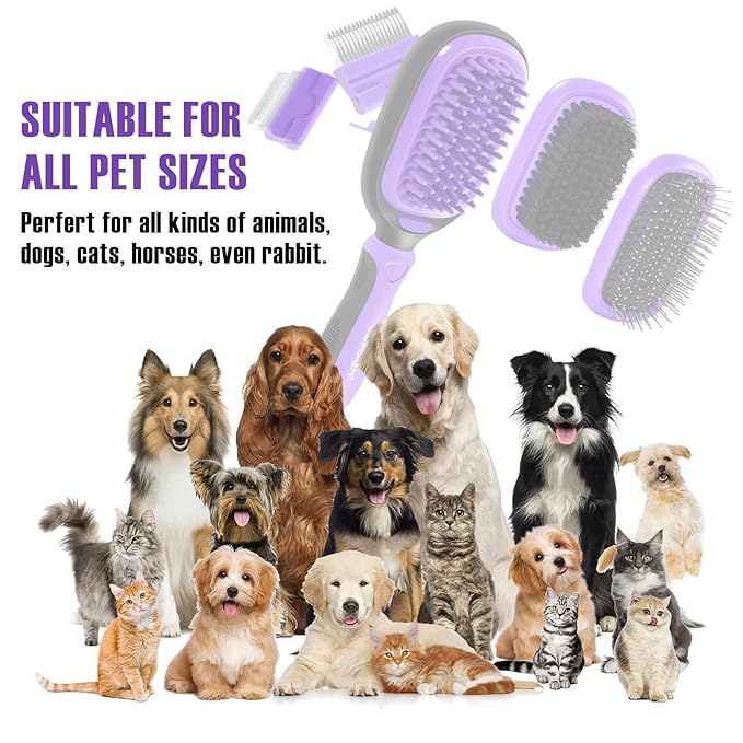 Dog Grooming Brush Kit 5-in-1 with Interchangeable Heads – Ideal for Medium & Large Dogs and Cats with Medium to Long Hair – Reduces Shedding, Removes Tangles, and Controls Loose Fur. Purple