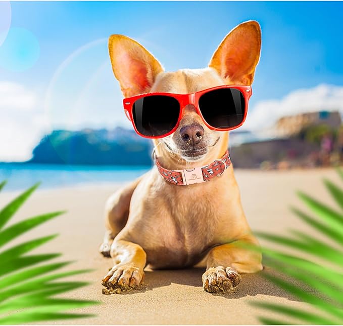 Lionheart glory Dog Collar Shark Print Dog Collar Girl or Boy Dog Collar Pet Gift Adjustable Dog Collar for Medium Dog