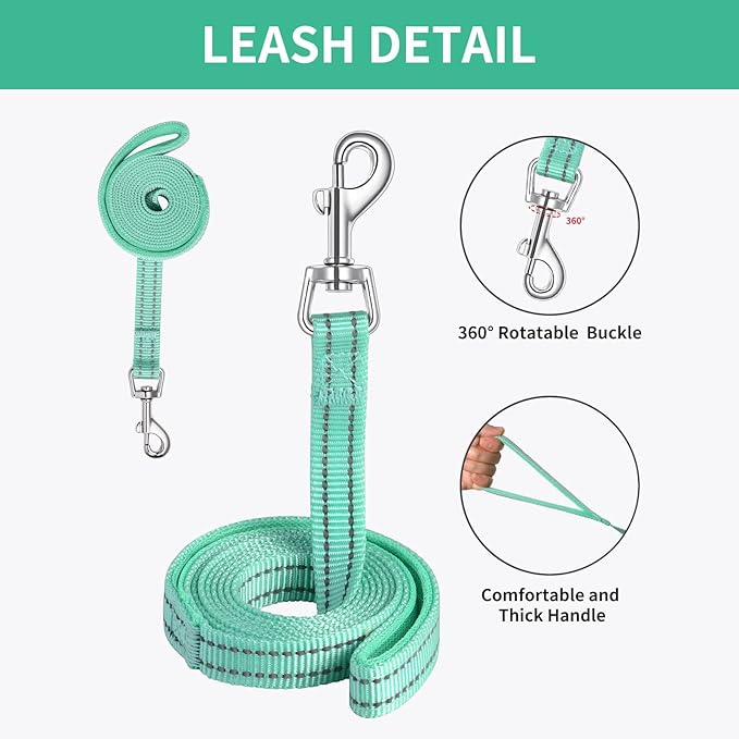 AMTOR Small Dog Harness with Leash Set, No Escape Easy Walk Puppy Harnesses for Training Walking, Step-in Reflective Soft Dogs Vest for XS S Medium Extra-Small Large Sized Dog(Green,XXS)