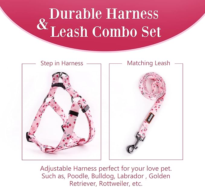 QQPETS Dog Harness Leash Set Adjustable Heavy Duty No Pull Halter Harnesses for Small Medium Large Breed Dogs Back Clip Anti-Twist Perfect for Walking (L(23"-32" Chest Girth), Sakura Pink)