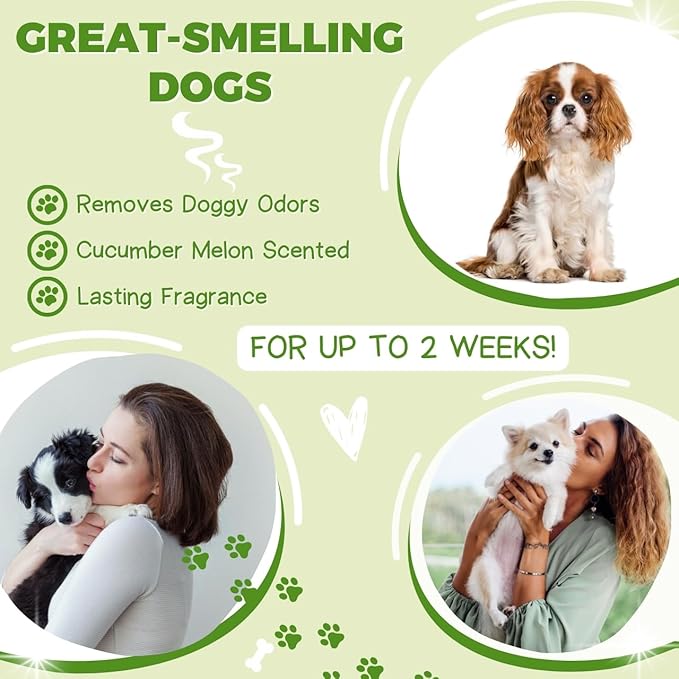 Alpha Dog Series All Stages Natural Dog Shampoo and Conditioner Set with Aloe Vera pH Balanced Dog Grooming Shampoo and Conditioner for Dogs, Tear-Free Moisturizing Dog Shampoo, 26.4 Oz (Pack of 6)