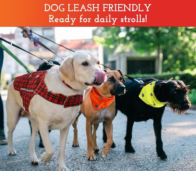SPOT THE DOG! Reflective Dog Bandanas - High Visibility Safety Dog Accessories for Small, Large Dogs, Orange Collar, Scarf, Kerchief, Bib for Hunting, Camping, Walking at Night (Blaze Orange, M-L)