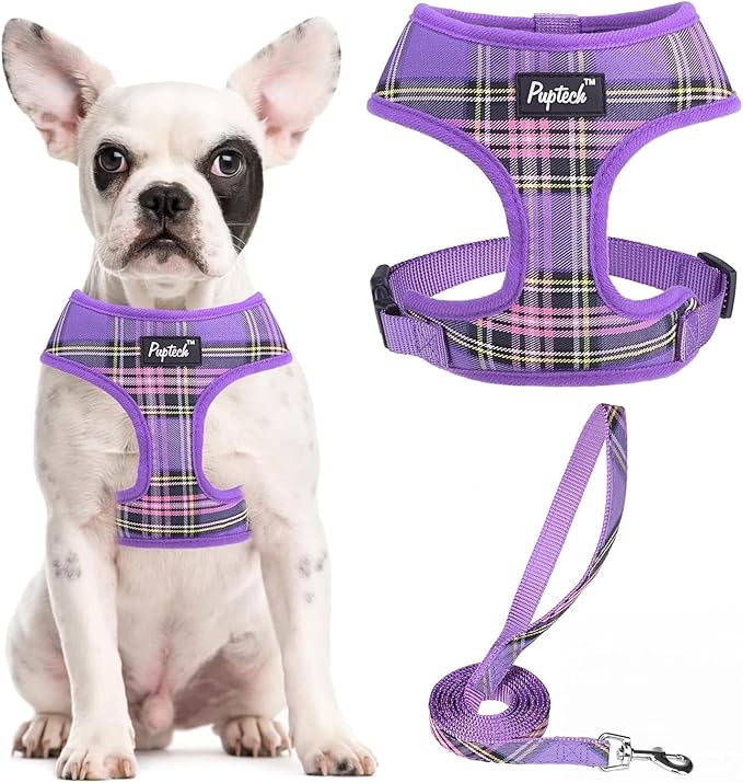 PUPTECK Soft Mesh Dog Harness and Leash Set Pet Puppy Cat Comfort Padded Vest No Pull Harnesses, Purple, L