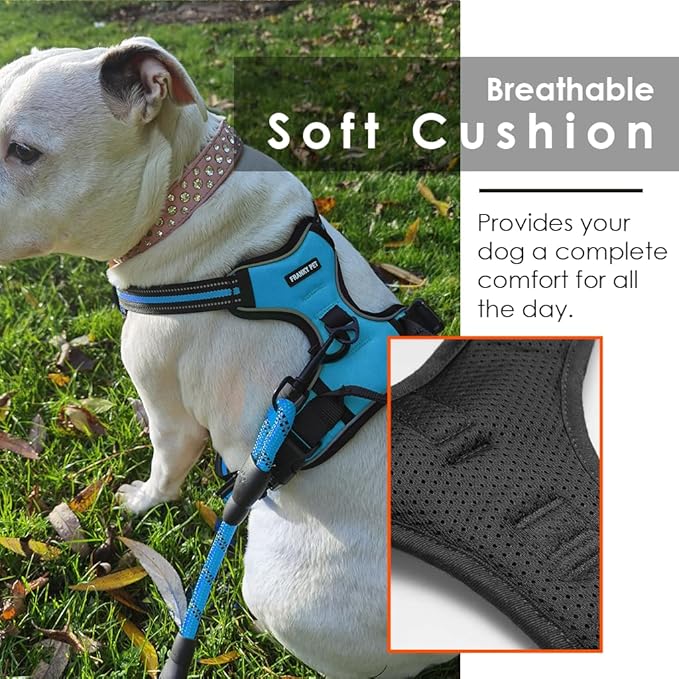 Dog Harness and Leash Duo, No Pull Vest Harness with 5 Ft Leash, Soft padded Vest, No-Choke Oxford Pet Harness, Easy Control Handle and Adjustable Pet Harness (Blue, Medium)
