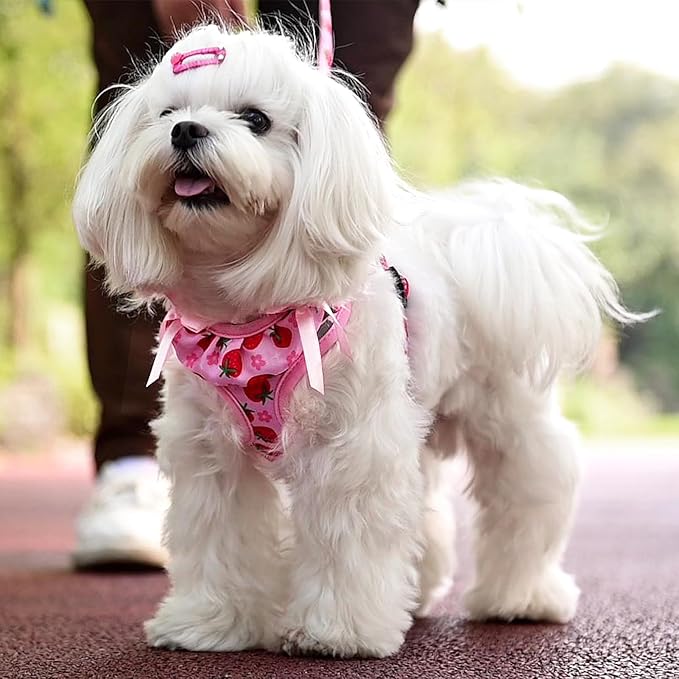 PUPTECK No Pull Dog Harness and Leash Set Reflective No Choke Step in Puppy Halter for XS Small and Medium Sized Dogs, Pink, Printed Fabric, XS