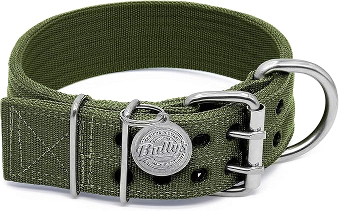 Pit Bull Collar, Dog Collar for Large Dogs, Heavy Duty Nylon, Stainless Steel Hardware (Large, Army Green)
