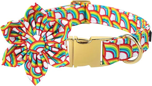 Lionet Paws Rainbow Female Dog Collar with Flower, Soft and Comfortable Adjustable LGBT Pride Collar for Large Dogs, Neck 16-24 inches
