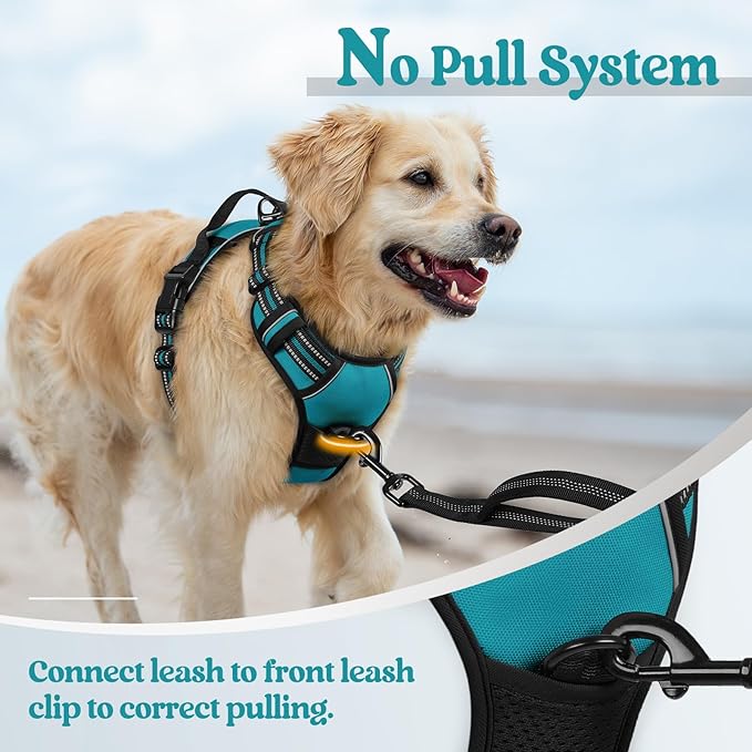 rabbitgoo Dog Harness, No-Pull Pet Harness with 2 Leash Clips, Adjustable Soft Padded Dog Vest, Reflective No-Choke Pet Oxford Vest with Easy Control Handle for Large Dogs, Teal, S