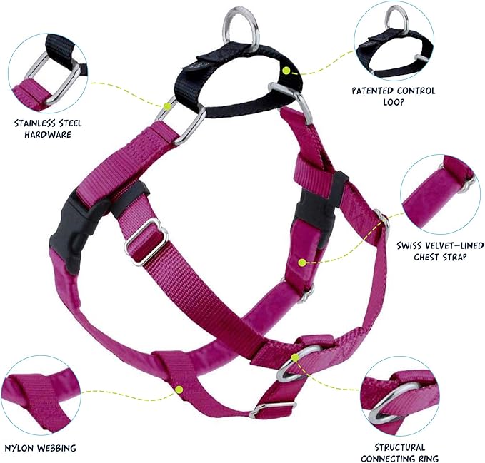 2 Hounds Design Freedom No Pull Dog Harness | Comfortable Control for Easy Walking |Adjustable Dog Harness and Leash Set | Small, Medium & Large Dogs | Made in USA | Solid Colors | 1" XL Raspberry