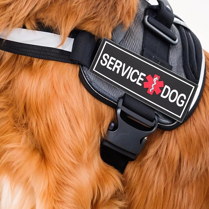 2Pcs Service Dog Patches for Harness, Removable Emotional Support Dog Vest Patches, Black in Training Dog Patch, Working Dog Applique Tactical Dog Equipment for Collar Leash (4×2'')