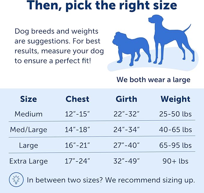 PetSafe Easy Walk No-Pull Dog Harness - The Ultimate Harness to Help Stop Pulling - Take Control & Teach Better Leash Manners - Helps Prevent Pets Pulling on Walks, Large, Charcoal/Black