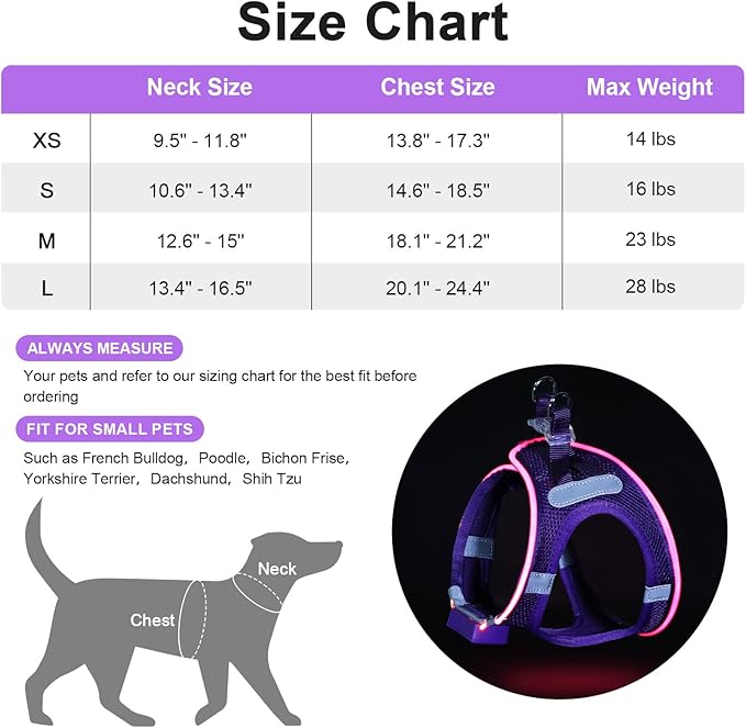 Light Up Dog Harness,LED Dog Harness Rechargeable, Lighted Dog Vest Harness for Night Walking,Reflective Safety Vest for Small Medium Large Dogs,Adjustable Soft Mesh,Purple,M
