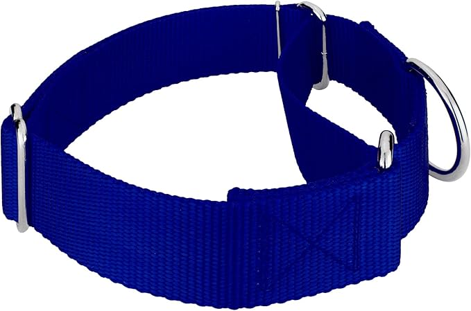 Country Brook Petz 1 1/2 Inch Martingale Heavy Duty Nylon Adjustable Dog Collar for Small, Medium, Large Breeds - Vibrant 17 Color Selection (Royal Blue, Extra Large)