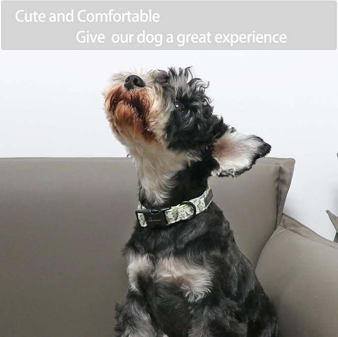 ARING PET Dinosaur Dog Collar-Cute Dog Collar for Small Dogs, Adjustable Comfortable Cotton Boy Dog Collars for Small Medium Large Dogs, Large