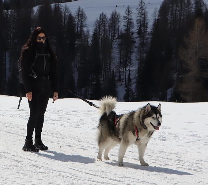 Dog Weight Pulling Harness , XBack for Canicross , Dog Sport , Bike Joring , Ski Joring , Sled Harness, Dog mushing , Dog Running Harness , Black Neongreen