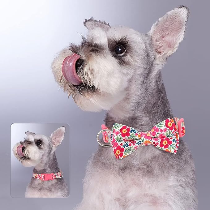 Didog Floral Dog Collar with Bow, Cute Girl Dog Collars with Detachable Bowtie, Soft & Comfy Spring Summer Dog Collar for Small Medium Large Dogs Gift Holiday, Pink, S