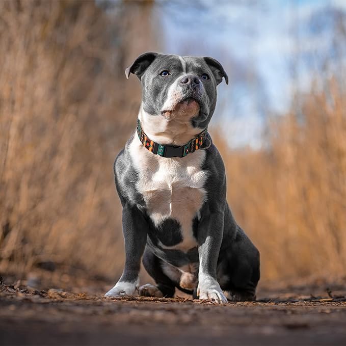 Southwest Dog Collar Tribal Pattern Adjustable Puppy Pet Collars for Small Medium Large Dogs Aztec Print (Tribal, Neck Fit 12"-16")