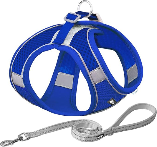 AIITLE Escape Proof Dog Harness - Step in Adjustable Dog Harness No Choke Over with Breathable Mesh and Quick-Release Buckle for Spring- Outdoor Walking, Camping for Medium Dogs Royal Blue XL
