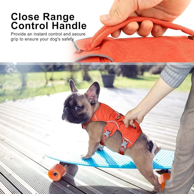 Beirui Escape Proof Dog Harness,Soft Padded Dog Vest No Pull with Lift Handle,Durable Reflective Waterproof Full Body Pet Harness for Small Medium Dogs Walking Training(Orange,Chest 18-32")