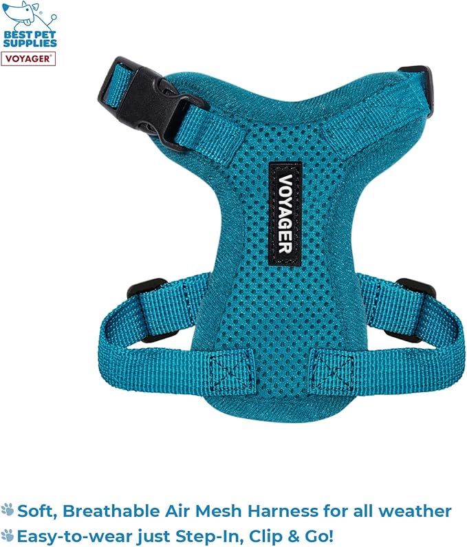 Voyager Step-in Lock Adjustable Cat Harness w. Cat Leash Combo Set with Neoprene Handle 5ft - Supports Small, Medium and Large Breed Cats by Best Pet Supplies - Turquoise, XXS