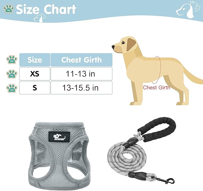 Breathable Air Mesh Dog Harness with Reflective Leash, Adjustable No Pull Step in Vest Harness for Small Dogs Puppies Cats, Grey, Small
