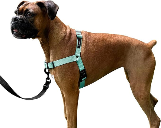 ShawnCo Dream Walk No-Pull Dog Harness- Adjustable, Comfortable, Easy to Use Pet Halter to Help Stop Pulling for Small, Medium and Large Dogs (Seafoam, S)