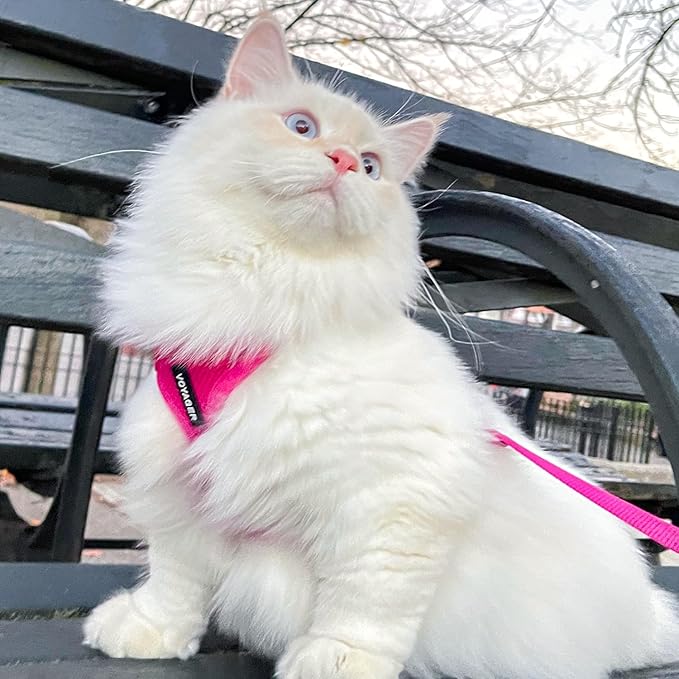 Voyager Step-in Lock Dog Harness w Reflective Dog Leash Combo Set with Neoprene Handle 5ft - Supports Small, Medium and Large Breed Puppies/Cats by Best Pet Supplies - Fuchsia, XS