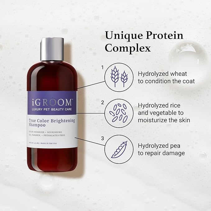 iGroom True Color Dog Shampoo, Coat Luxury Pet Beauty Care, Brighten, Enhance and Restore Natural Coat Color, Add Moisture and Condition, Made in USA, 16 oz