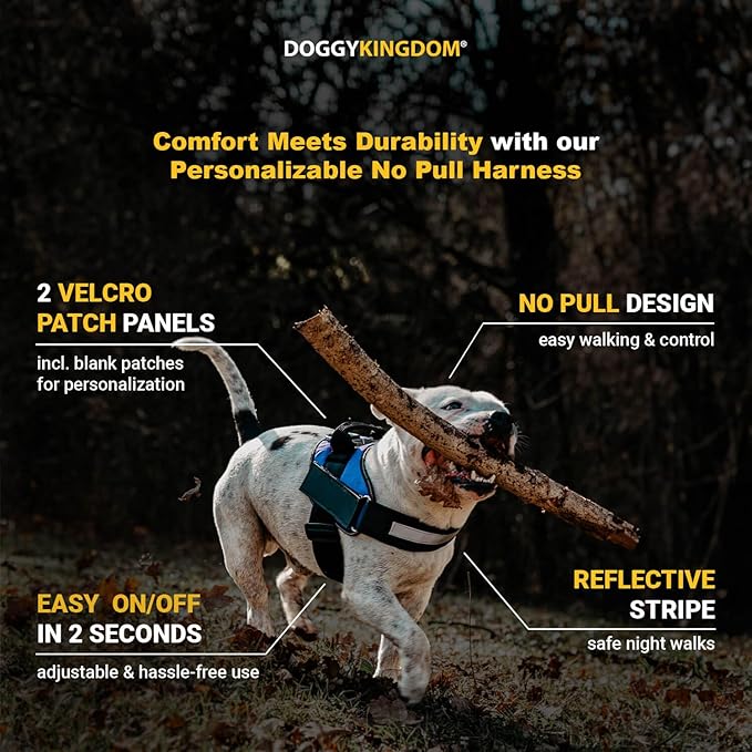 Non Pull Dog Harness with Patch Panels and Handle, Adjustable, Reflective, No Choke, Heavy Duty Easy On Service Dog Vest Harnesses for Medium Large Small Sized Dogs - USA, XL