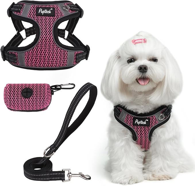 PUPTECK No Pull Dog Harness and Leash Set Reflective No Choke Step in Puppy Halter for XS Small and Medium Sized Dogs, HotPink, Breathable Mesh, XS