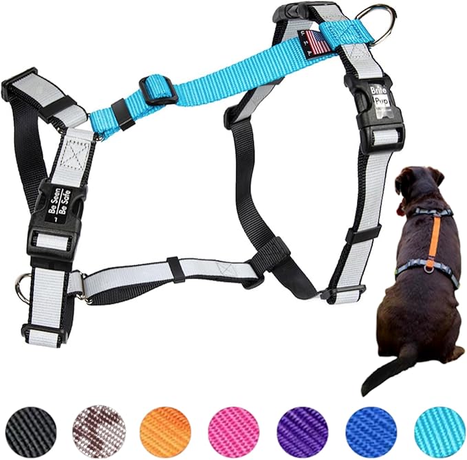 No Pull Harness with Fully Customizable Fitment for XL Dogs - 3M Reflective Heavy Duty Harness for Walking & Training - No Choke Comfortable Collar Design, Made in USA XL-Sky Blue