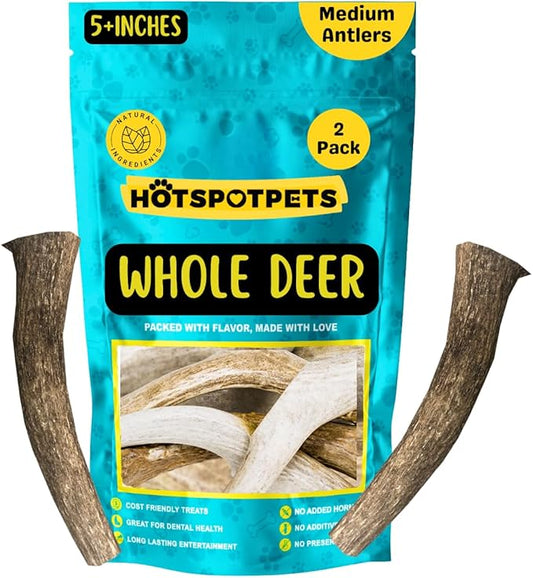 hotspot pets Premium Medium Sized Whole Deer Antlers for Dogs - 5+ Inch Deer Antler Dog Chews - Naturally Shed for Small and Medium Breed Aggressive Chewers - Sourced in USA (Medium, 2 Count)