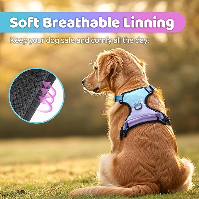 QQPETS No Pull Dog Harness with 2 Leash Clips，Adjustable Soft Padded Dog Vest, Reflective Outdoor Pet Oxford Vest with Easy Control Handle for Small to Large Dogs Walking Training