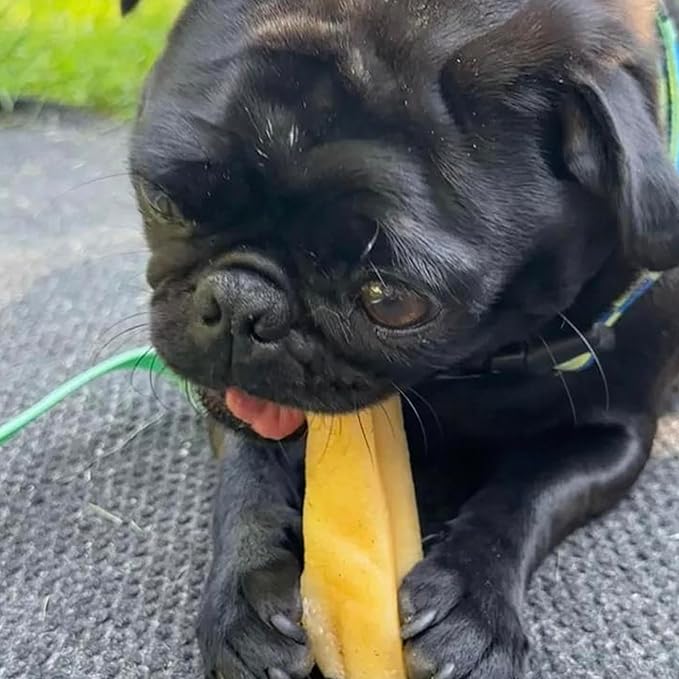 Pupford Yak Cheese Himalayan Dog Chews | for Aggressive Chewers | Durable & Long-Lasting Chews for Teething Puppies & Dogs Simple, Natural Ingredients, Low Calorie, Delicious Treat