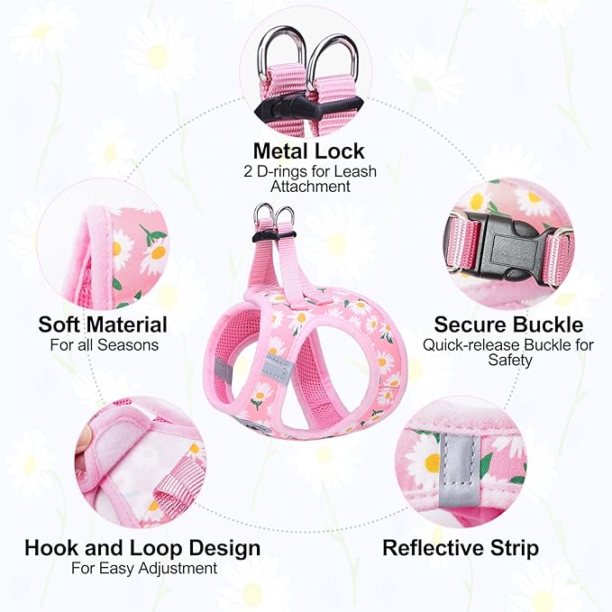 BEAUTYZOO Step in Dog Harness and Leash Set, Floral Pattern Reflective Dog Harness No Pull No Choke Puppy Harness for XXS XS S Dogs Cats, Soft Padded Mesh Vest Harnesses for Girl and Boy Pets