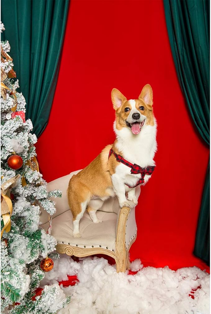 Unique style paws Dog Harness Adjustable Harnesses Durable Hardware with Comfortable Bowtie for Small Medium Large Dogs