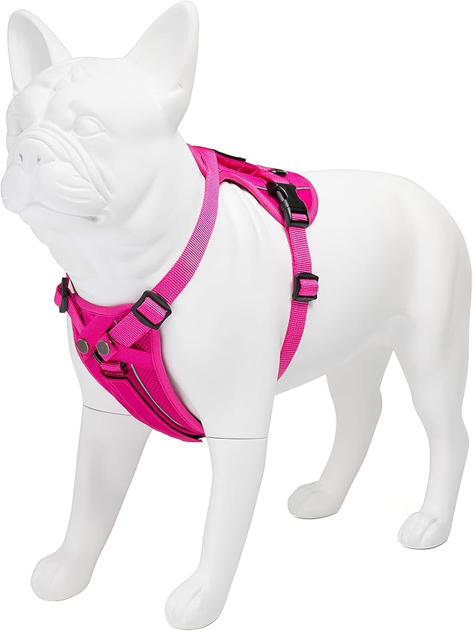 Voyager Freestyle 4-in-1 Dog Harness - Patent Pending Adjustable Webbing Harness with Removable Padding for Small to Large Dogs by Best Pet Supplies - Fuchsia, S