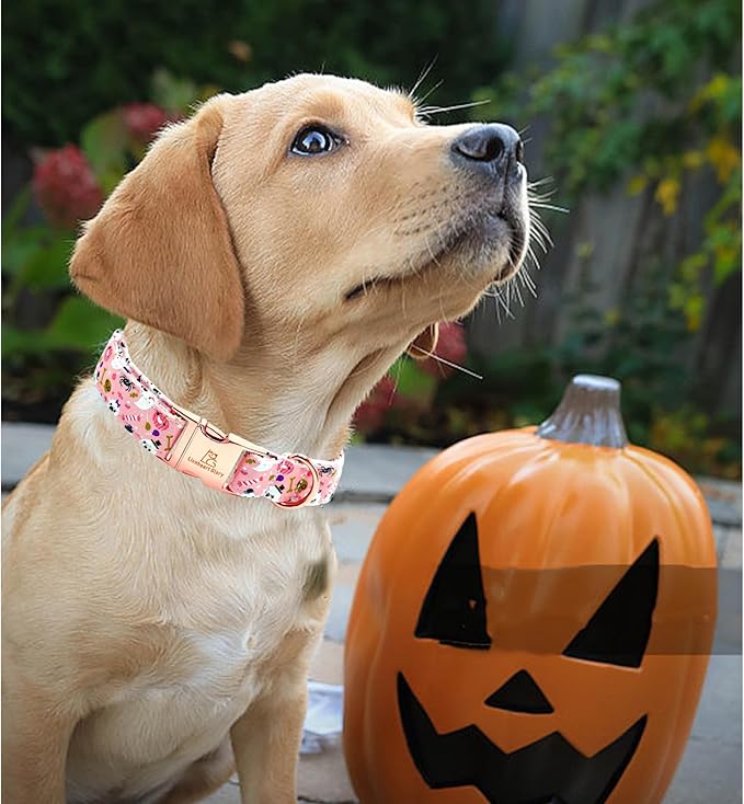 Lionheart glory Dog Collar Fall Halloween Pumpkin Collars Dog Heavy Comfortable Adjustable Pink Dog Collar for X-Small Puppy Collar Dogs Girls Boys Dog Collar Pet Gift