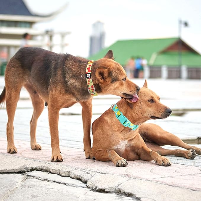 azuza 3 Pack Fruit Design Dog Collars Comfortable and Adjustable Nylon Dog Collars for Puppy Small Dogs, XS (8-12inch)，Strawberry，Lemon and Cherry