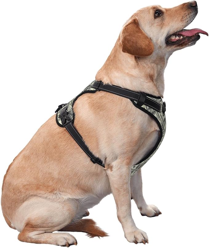 No Pull Dog Harness for Small Dogs Easy Walk Dog Vest Adjustable Collars Harnesses & Leashes Set Breathable Oxford Outdoor Walking Safety Reflective Strip Dollar Cash Prints